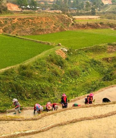 3D2N • 3-Day Dien Bien Highlands Discovery Tour (Local Expert)