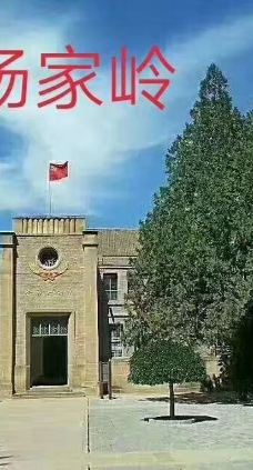 杨家岭革命旧址-延安