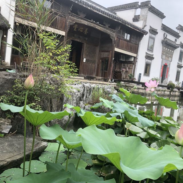 刘园古徽州文化园旅行图片 6