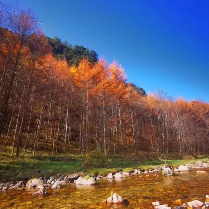 神农架2日1晚私家团
