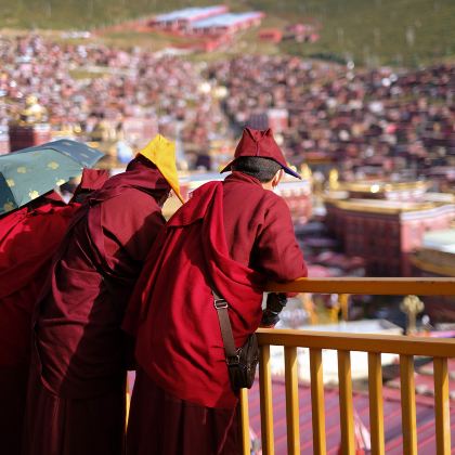 成都+九寨沟风景区+若尔盖+郎木寺+迭部+扎尕那+拉卜楞寺+莲宝叶则景区+色达+雅拉雪山观景台+丹巴+甲居藏寨+四姑娘山景区11日10晚私家团