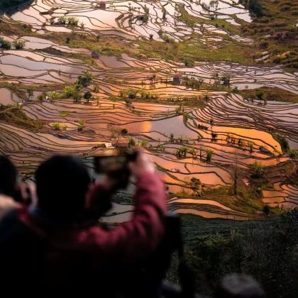 云南昆明+抚仙湖+罗平+建水+元阳+蒙自+普者黑风景区+泸西+东风韵景区+东川红土地+元谋土林12日11晚私家团