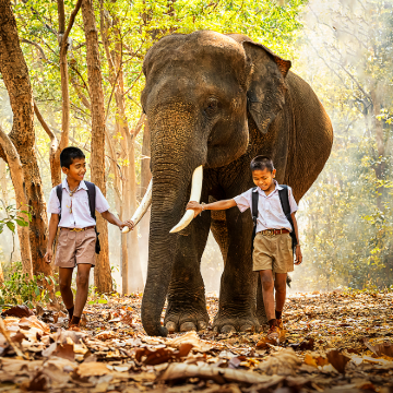 斯里兰卡7日5晚拼小团