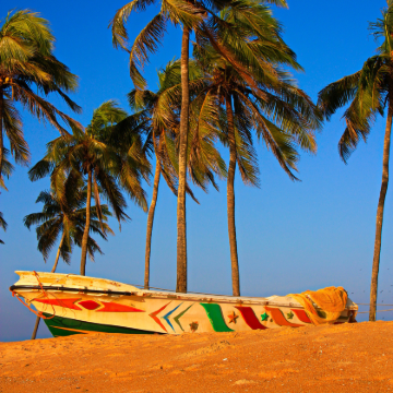 斯里兰卡7日5晚跟团游