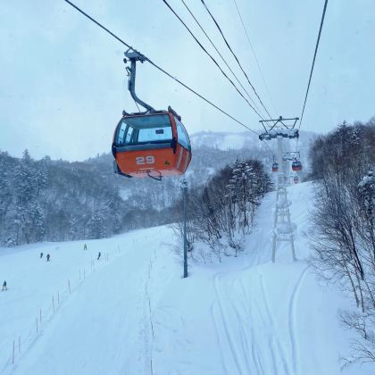日本北海道札幌+登别+洞爷湖町+小樽+登别地狱谷+洞爷湖游览船+手宫公园+三岛芝樱公园+塞露展望台7日6晚私家团
