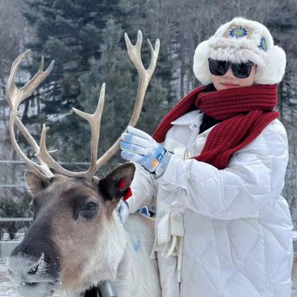 沈阳+长白山4日3晚私家团