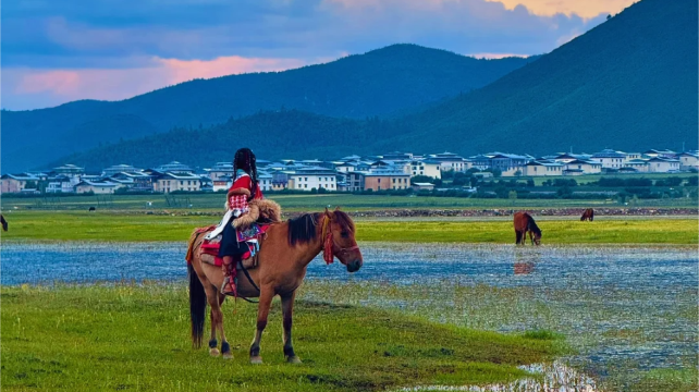 8-Day Best of Yunnan Private Tour from Kunming· Dali, Lijiang, Shangri-La, Green Lake, Dukezong Ancient Town, Blue Moon Valley | Jiuxiang Scenic Region | 