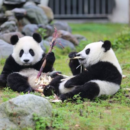 九寨沟+黄龙风景名胜区+四姑娘山景区+都江堰景区5日4晚拼小团