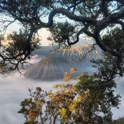印度尼西亚巴厘岛+布罗莫火山4日3晚私家团