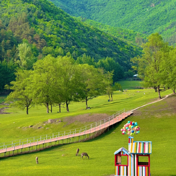 哈尔滨+伊春4日3晚私家团