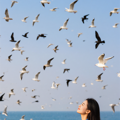 大连+丹东+沈阳6日5晚拼小团