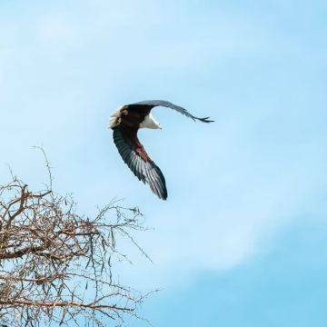 乌干达7日6晚拼小团