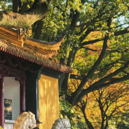 泰州+千垛景区+镇江+北固山+南通狼山风景名胜区5日4晚私家团