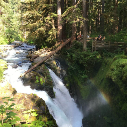 美国西雅图+流明球场+奥林匹克国家公园+雷尼尔山国家公园9日8晚私家团