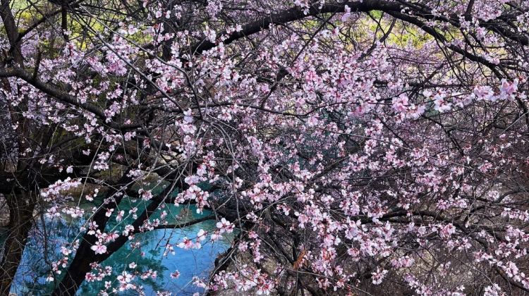 3-day 2-night · Private Tour · Jiuzhaigou + Huanglong Scenic and Historic Interest Area + Sanxingdui Museum