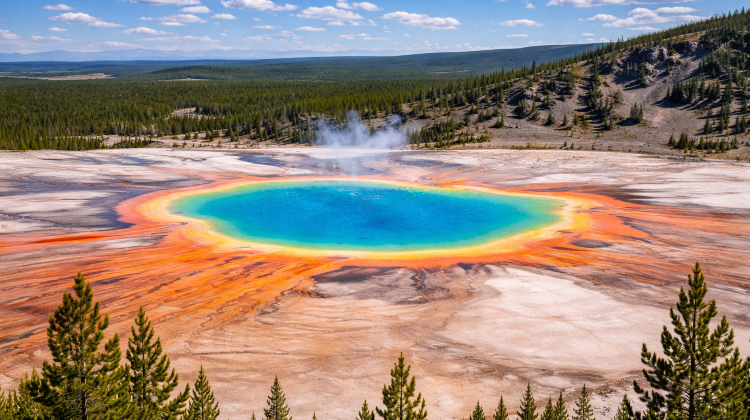 4-Day Yellowstone National Park Tour from Salt Lake City · Grand Teton, Yellowstone Bear World and Great Salt Lake