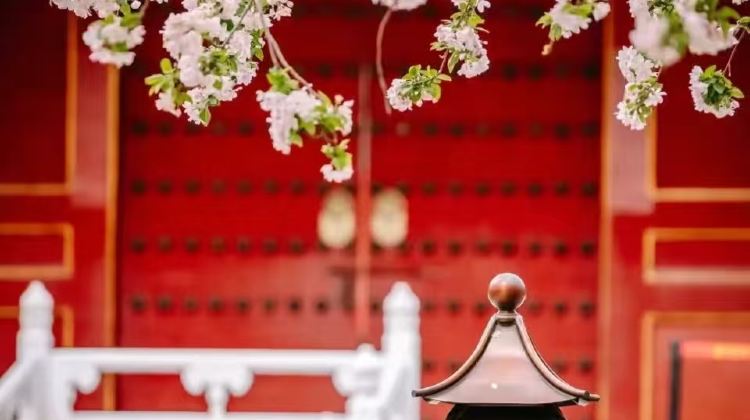 3D2N · Private Tours ·  The Palace Museum , Mutianyu Great Wall - just pure fun. Enjoy a relaxed, activity-focused group experience with English-speaking guide service for on-site commentary