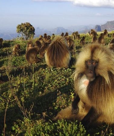 8D7N • 8 Days Historical tour to Ethiopia