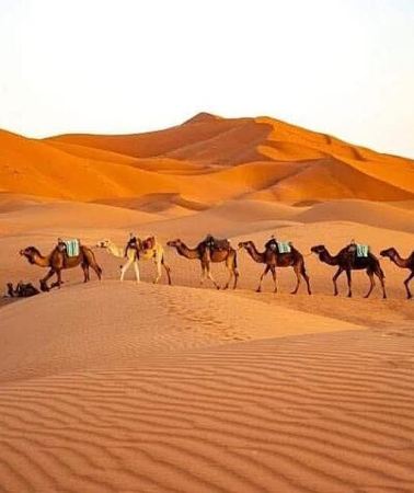 3D2N • Merzouga Desert Tour from Marrakech Sahara Camel Ride & CamP