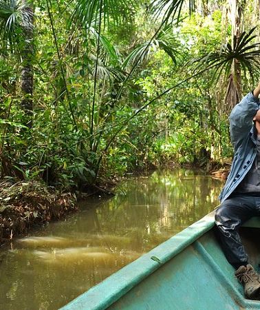 2D1N • 2 days 1 night – Peruvian Tambopata Jungle
