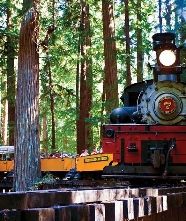 3D2N • 3 Day Tour to Oregon Redwood Crater Lake from San Francisco
