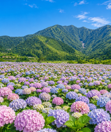 5D4N • Yilan + Taipei + Yangmingshan National Park