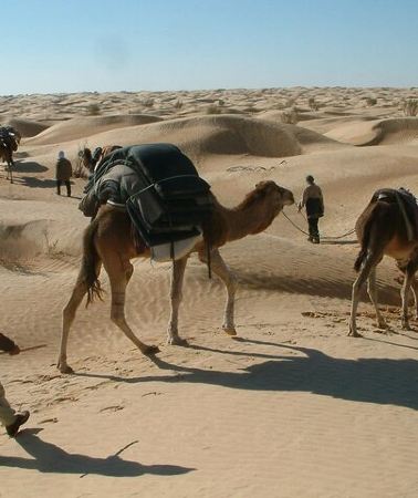 2D1N • 2-Day Tunisian Sahara Tour with Food & Stay from Hammamet