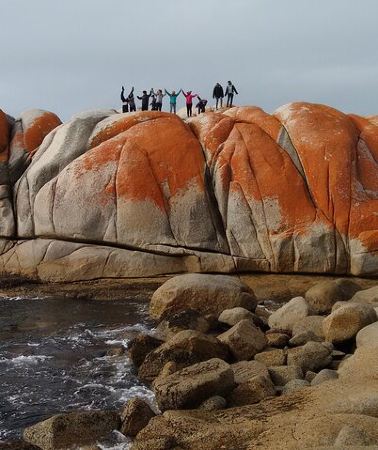 7D6N • 7-Day Super Value Tour of Tasmania: Explore Tasmania's West and East Coasts