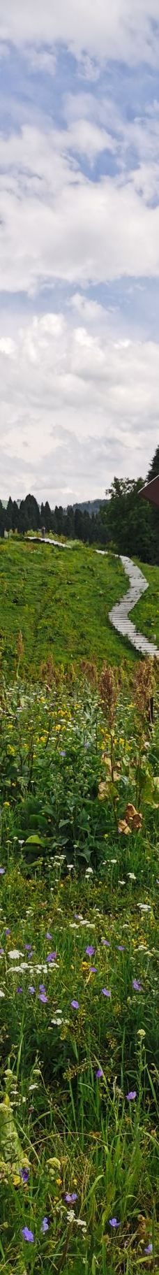 库尔德宁景区-巩留