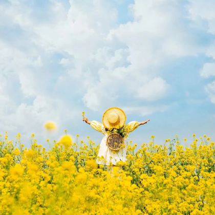 罗平+罗平油菜花景区+九龙瀑布群2日1晚拼小团