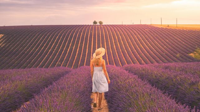 <6天>【8人團·多彩南法高鐵直達】·巴黎往返+酒店連住+粉紅鹽湖火烈鳥+藍色峽灣卡西斯+檸檬色調芒通+漫天紫色薰衣草普羅旺斯(花季限定)+色彩集市昂提布