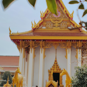 洛阳老君山景区+龙门石窟+白马寺+洛阳博物馆2日1晚私家团