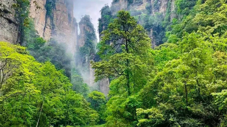 长沙+韶山旅游区+张家界+芙蓉镇+凤凰6日5晚私家团·【湖南全景游：升级韶山讲解员】『高端4钻酒店：长沙自选+张家界君宜庭院+凤凰念楃/念赫（升级江景房）』双5A国家公园+7455米高空索道+玻璃栈道|赠：百龙电梯
