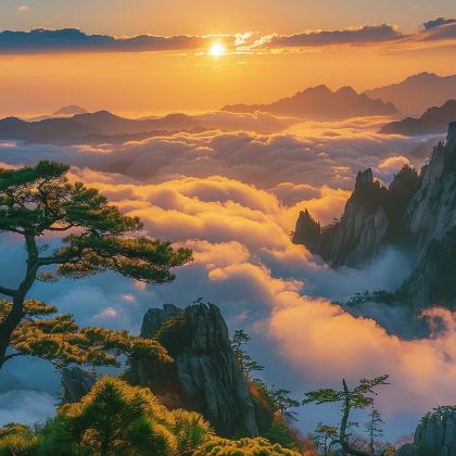 黄山风景区+九华山风景区+新安江山水画廊+徽州古城5日4晚跟团游