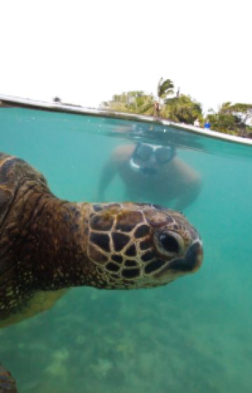 美国夏威夷欧胡岛+夏威夷岛10日9晚跟团游图片