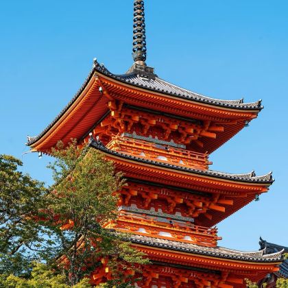 日本大阪+京都+奈良5日4晚跟团游