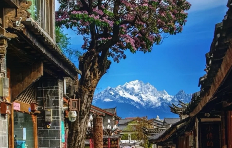 10-day 9-night · Private tours · Kunming + Dali + Lijiang + Balog Zon Shangri-la · Explore Yunnan's classic scenic spots all at once, savor authentic Yunnan cuisine, tour Lijiang's sacred Yulong Snow Mountain, encounter the fairyland of Blue Moon Valley, brave Tiger Leaping Gorge, and explore the two famous ancient cities.
