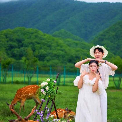 湖北神农架+恩施市6日5晚跟团游