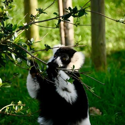 塞舌尔+毛里求斯+留尼汪（法属）+马达加斯加15日12晚私家团