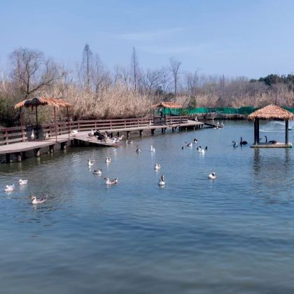 泰州+兴化+扬州+镇江6日5晚私家团