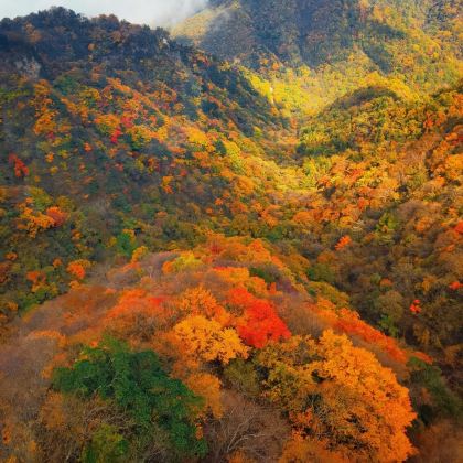 陕西太白山国家森林公园+黄柏塬+米仓山国家森林公园+太子岭+情人谷+留坝千年银杏树5日4晚跟团游