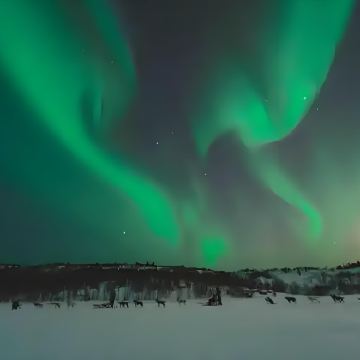 挪威罗弗敦群岛4日3晚私家团