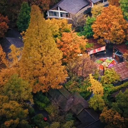 江苏天目湖2日1晚跟团游