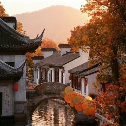 杭州+乌镇+上海+苏州+无锡+南京8日7晚私家团