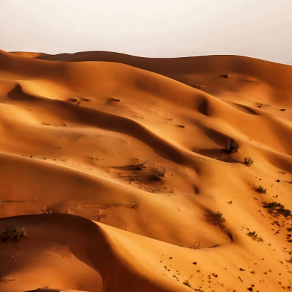 沙特阿拉伯+阿曼+卡塔尔+巴林11日9晚拼小团