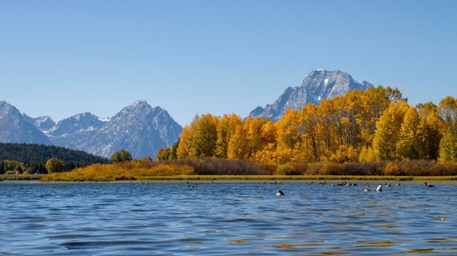 <9天>【三进黄石 | 3天2晚黄石15大景点｜黄石+羚羊彩穴+马蹄湾】·拉斯维加斯接机：住拉斯大道酒店、大提顿国家公园、旧金山1天自由行、可选大峡谷西缘（木屋团）
