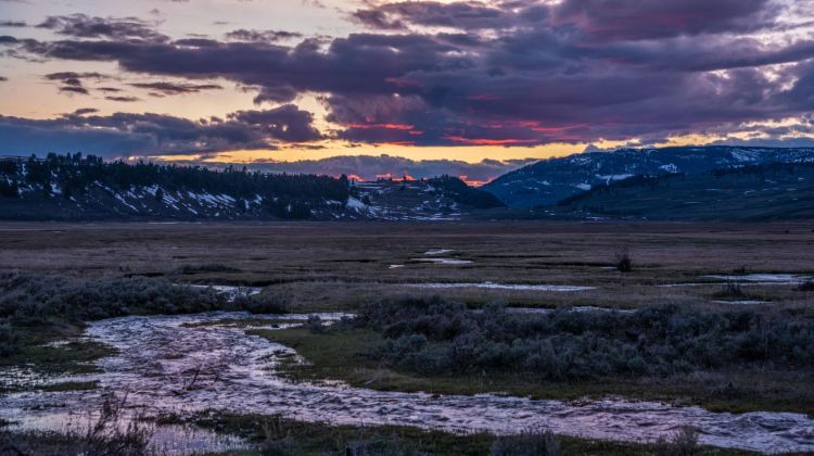 4-Day Yellowstone National Park Small Group Tour from Salt Lake City · Jackson, Grand Teton and Yellowstone Bear World