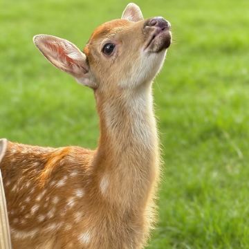 哈尔滨+伊春+五大连池市6日5晚私家团