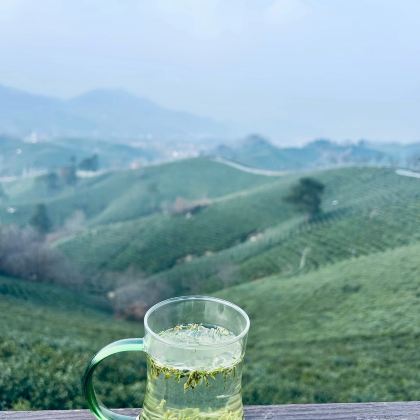 河南信阳2日1晚私家团