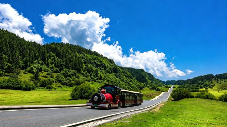 4D3N · Group Tours · Chongqing + Wulong District + Hongya Cave + Three Natural Bridges + Fairy Mountain National Forest Park + Eye in the Clouds